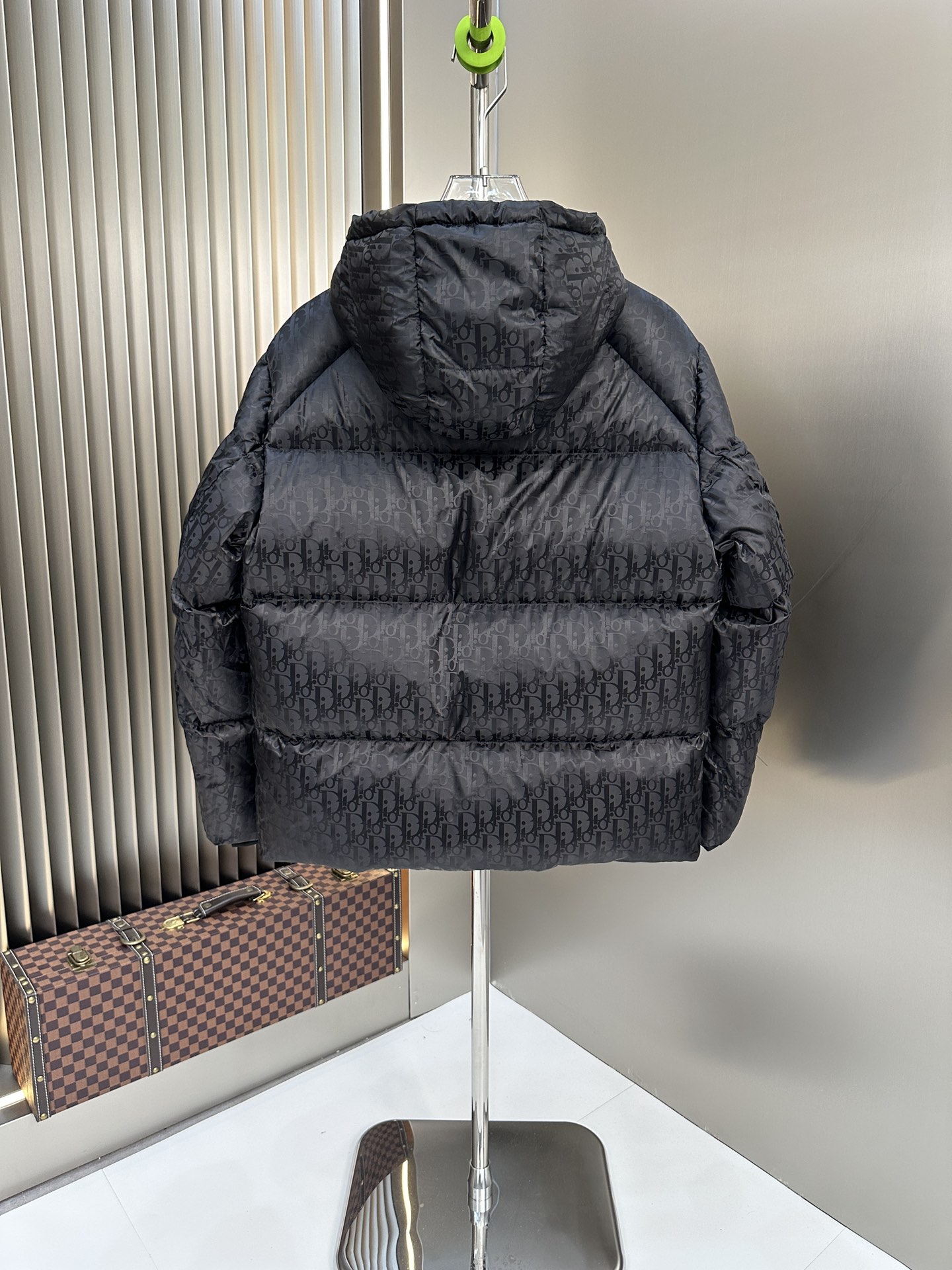 Christian Dior Down Jackets